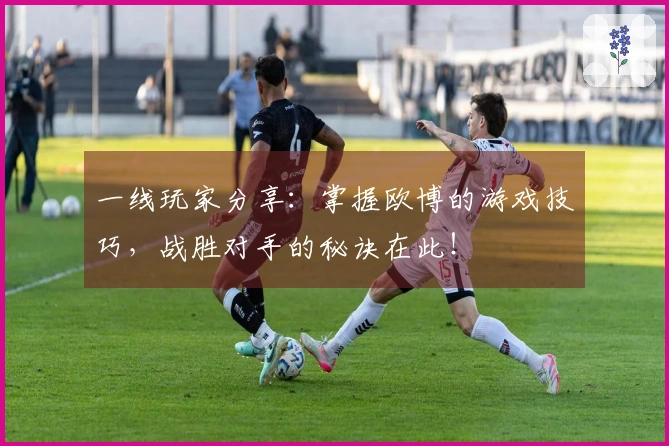 一线玩家分享：掌握欧博的游戏技巧，战胜对手的秘诀在此！