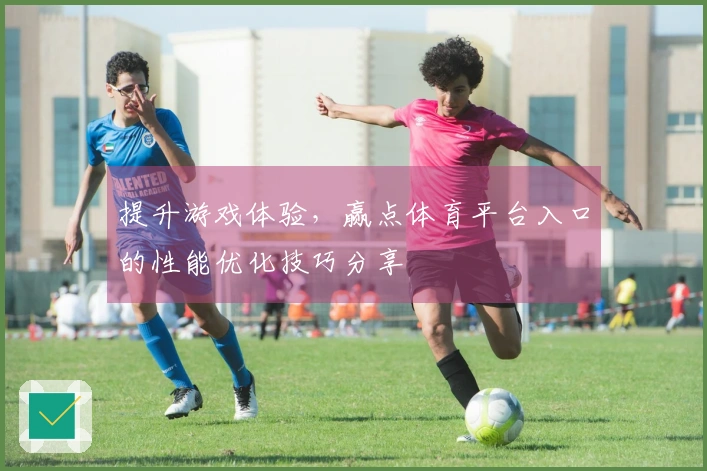 提升游戏体验，赢点体育平台入口的性能优化技巧分享